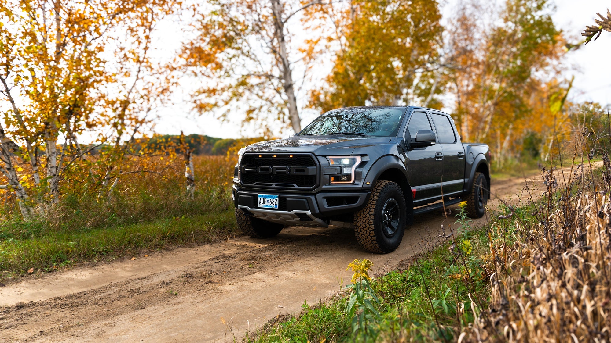 Ford Raptor (2017 - 2020)